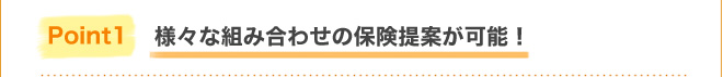 Point1様々な組み合わせの保険提案が可能！